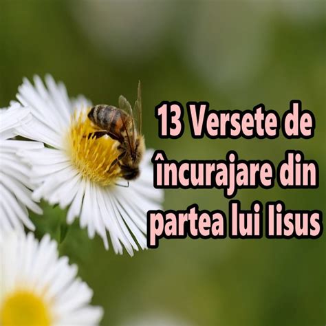 Versete De Ncurajare Din Partea Lui Iisus Calea Ingusta