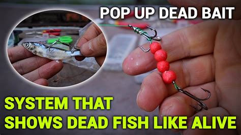 System That Shows Dead Fish Like Alive Pop Up Dead Bait How To Make