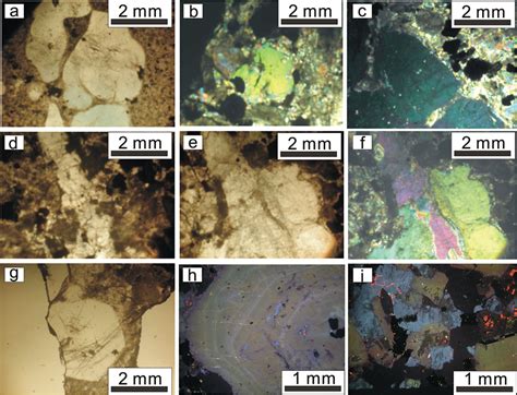 Photomicrographs Of Typical Phenocrysts Of Quartz Containing Abundant