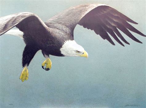 Robert Bateman Paintings For Sale Wanted