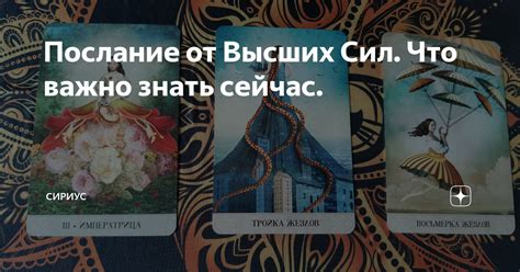 Послание от Высших Сил Что важно знать сейчас Сириус Dz Дзен