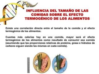 Tema 4 Termogénesis de los alimentos y termogénesis facultativa PPT