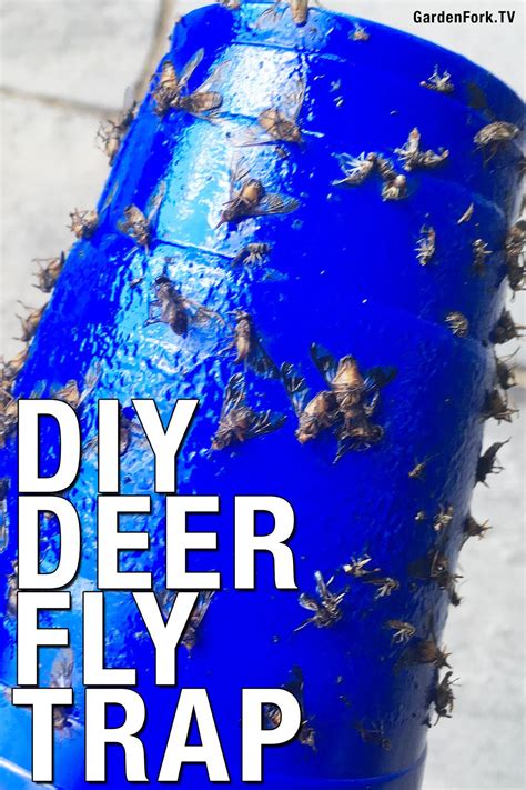 DIY Deer Fly Trap | Deer fly, Fly repellant, Fly traps