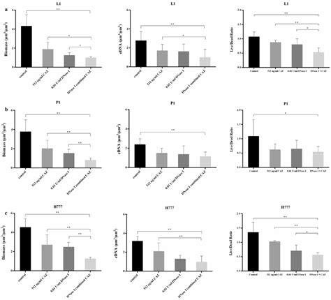 Comstat Analysis Of B Pseudomallei L1 P1 And H777 Biofilm Biomass Download Scientific