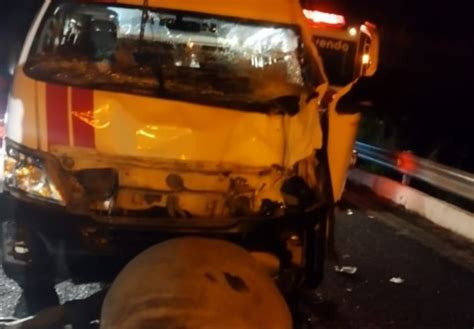 Toro Provoca Aparatoso Accidente En Oaxaca Y Fallece Tras El Impacto