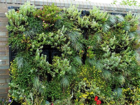 How To Build A Vertical Garden Wall Storables