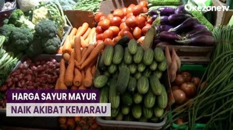 Kemarau Panjang Sayur Mayur Alami Kenaikan Harga Video Dailymotion