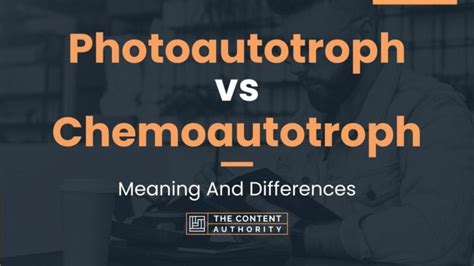 Photoautotroph Vs Chemoautotroph Meaning And Differences