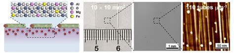纳米人 张锦院士angew：镁辅助催化剂锚定技术用于在蓝宝石衬底上生长均匀高密度水平swnt阵列