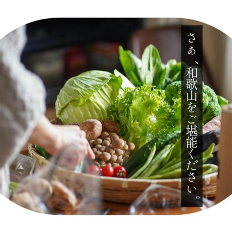 【楽天市場】【ふるさと納税】旬の新鮮野菜詰め合わせ 8種以上【野菜セット】 和歌山県 印南町 和歌山 野菜 季節の野菜 季節の果物 セット