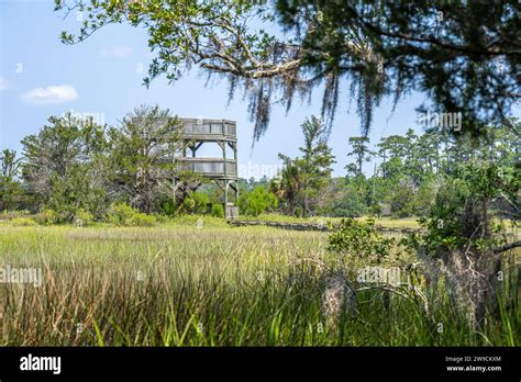 Skidaway Island State Park Landscape Hi Res Stock Photography And