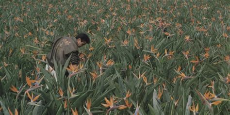 Boiling Point (1990) dir. Takeshi Kitano : r/CineShots