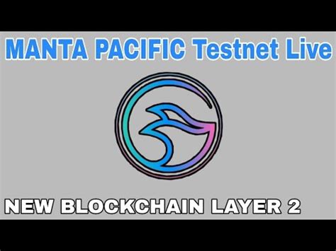 Tutorial Mengikuti Testnet Manta Network The First Evm Native Modular