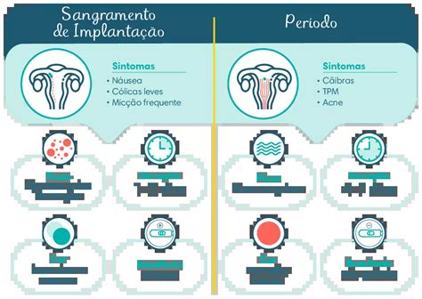 Sintomas De Gravidez No In Cio Principais Sinais E Mudan As No Corpo