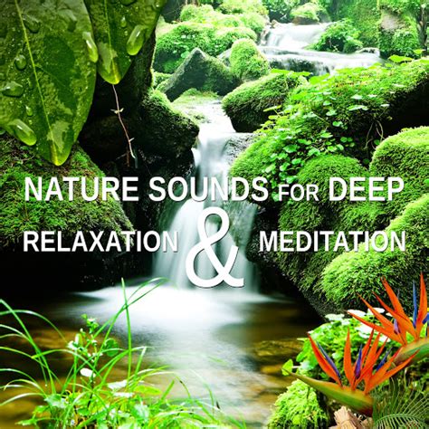 Reiki Therapy Music - YouTube Music