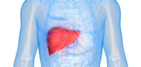 Givosiran Shows Promise as Treatment of Acute Hepatic Porphyrias - Hep