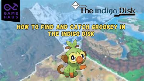 How To Find And Catch Grookey In The Indigo Disk