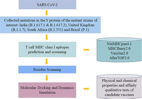 Frontiers Computer Based Immunoinformatic Analysis To Predict