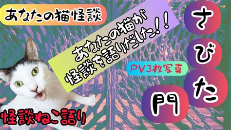 【怖い話】【猫が語る不思議な話】【猫動画】怪談ねこ語り『さびた門』〜メンバーシップ【あなたの猫怪談】pv・そら君バージョン〜 Youtube