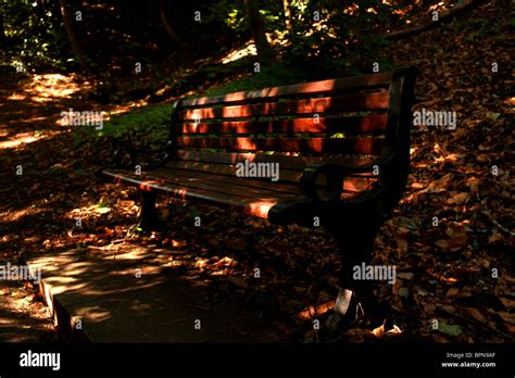 Wooden Park Bench Stock Photo Alamy