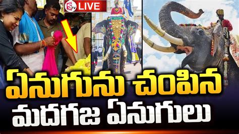 LIVE Dasara Elephant Arjuna Passed Away అబర అరజన ఏనగ ఇక లద