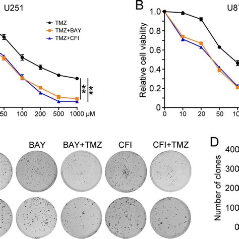 Ttk Inhibitors Increased The Efficiency Of Tmz In Gbm Cells A U And