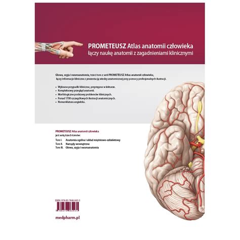 Prometeusz Atlas Anatomii Człowieka Tom 3 Nomenklatura Angielska