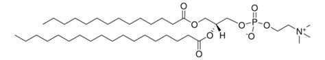 Pc Myristoyl Stearoyl Sn Glycero Phosphocholine