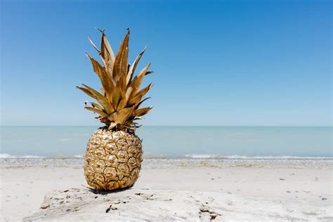 Buy the best types of Hawaii pineapple at a cheap price - Arad Branding