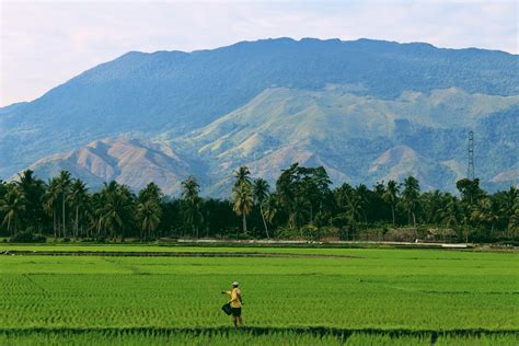 Bill Seeking The Extension Amendments To Rice Tariffication Law