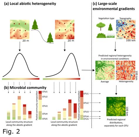 Where do soil microbes live? | The 3D lab