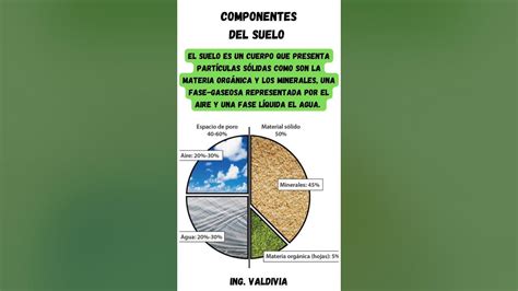 Componentes Del Suelo 👨🏻‍🌾🌱🌱👨🏻‍🌾 Shorts Short Agricultura