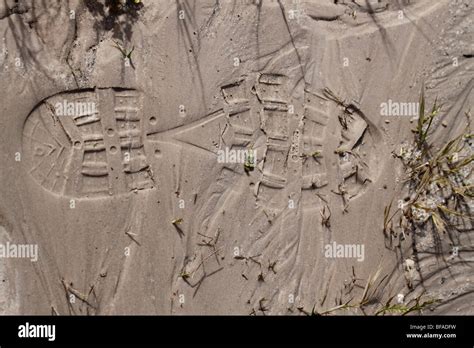 Footprint Made By Hiking Boot In Wet Sand Stock Photo Alamy