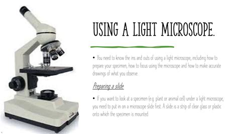 How To Use A Light Microscope 😲😲 Youtube