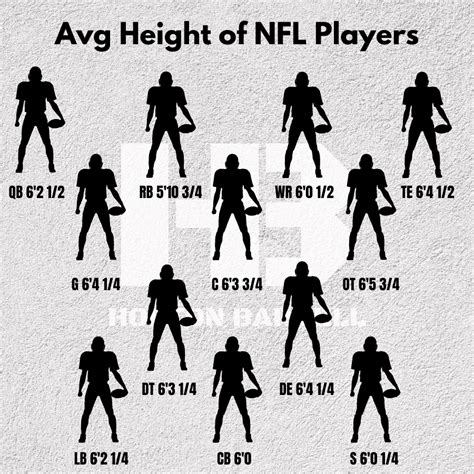 Average Height Weight Of NFL Players By Position 2023 Horton Barbell