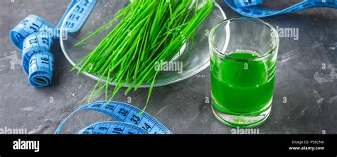 Wheatgrass Shot Juice From Wheat Grass Trend Of Health Stock Photo