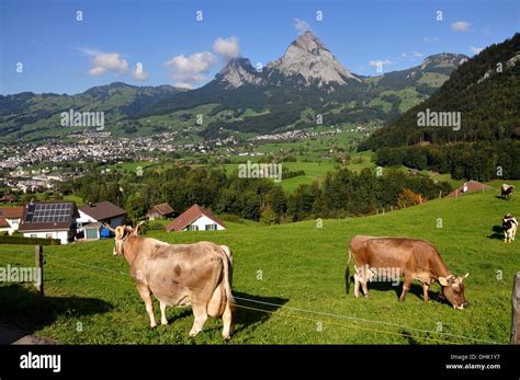 Canton of schwyz hi-res stock photography and images - Alamy