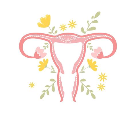 Floral Uterus Vector Illustration Isolated On White Background