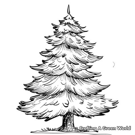 Pine Tree Coloring Pages Free Printable