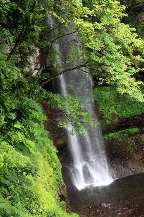 Free Images Tree Forest Waterfall Stream High Autumn Body Of