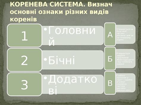 Корінь рослини. Обери правильні відповіді - презентация онлайн