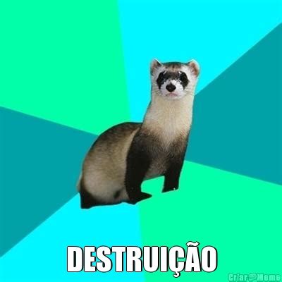 Memes Ferret Pergunta Obvia Imagens Coloridas Animais P Gina