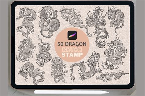 50 Dragon Line Art Procreate Stamps Design Cuts