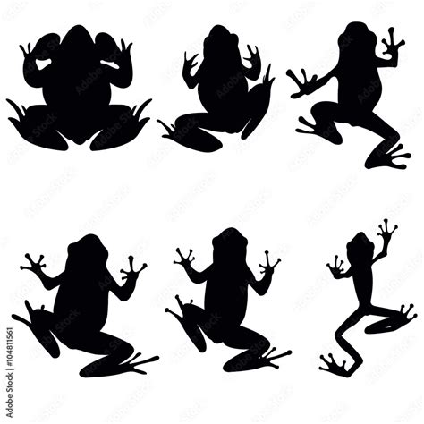 Vector frogs silhouette on the white background. Six frog silhouettes ...