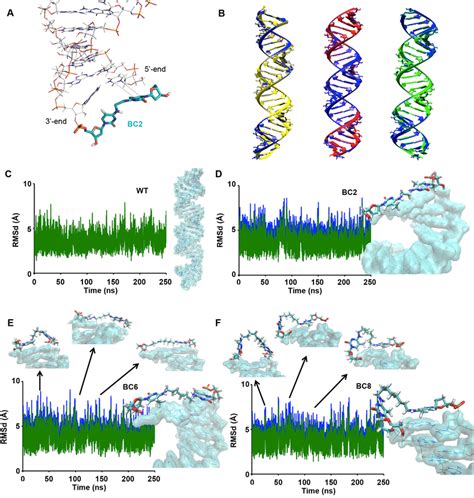 A Representative Snapshot From The Molecular Dynamics MD Trajectory