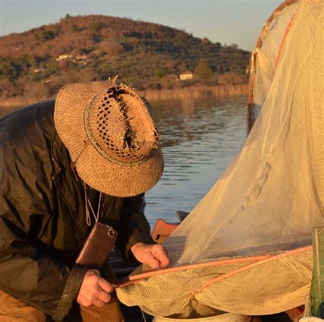 I Pesci Del Lago Trasimeno Tipicamente Umbria