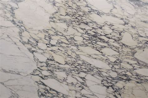 Calacatta Viola Polished Marble Slab