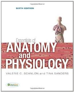 Anatomy And Physiology Nursing Test Banks Essentials Of Anatomy And