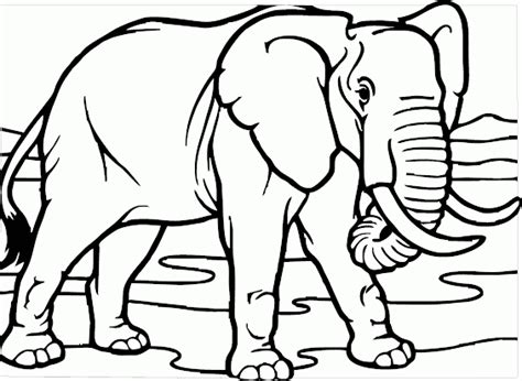 Mewarnai Gambar Gajah – Studyhelp