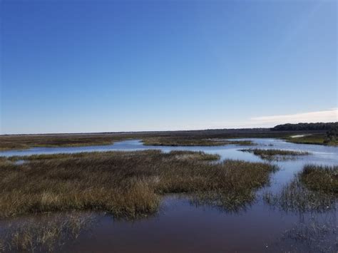 Wilderness Wanderings: Timucuan Preserve at Fort Caroline